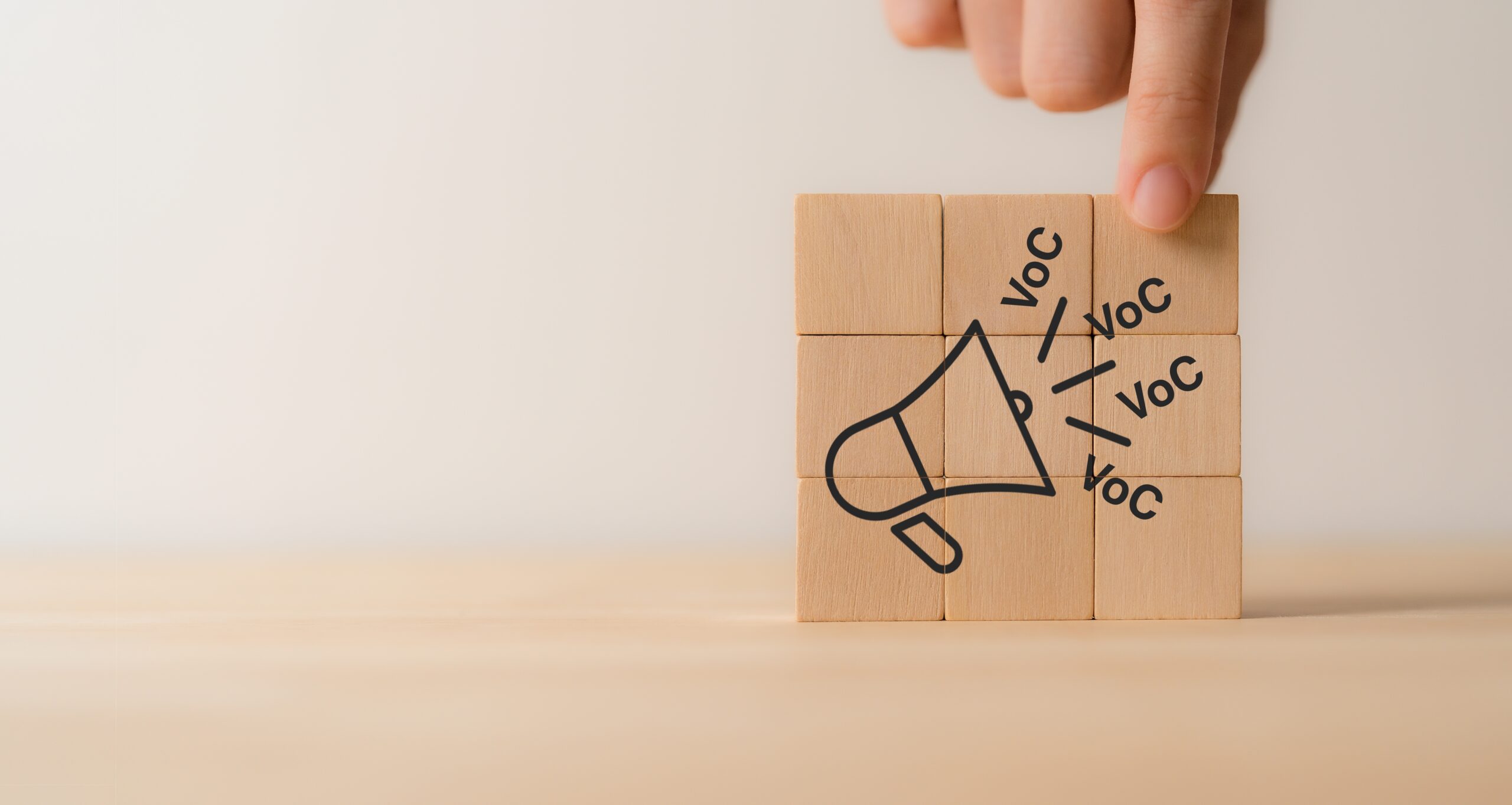 brand voice